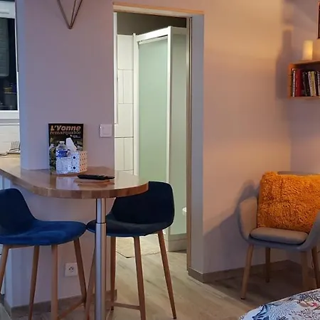 Agreable Petite Maison Proche Joigny Chamvres Exterior foto